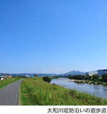 大和川堤防沿いの遊歩道